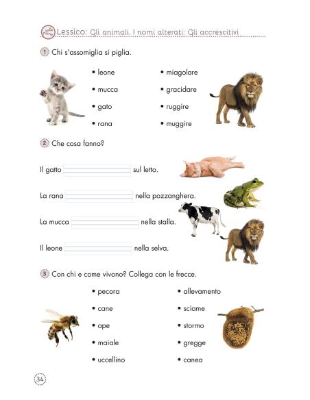 Quaderni di lettura e compresione del testo 6 - I testi 5